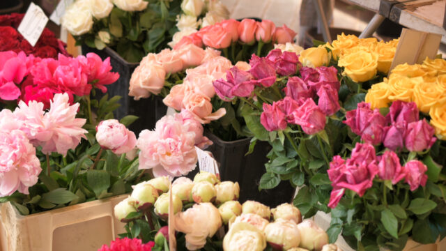 ニースの朝市の花屋、お花の定期便 - 心を豊かにするプチ贅沢 -